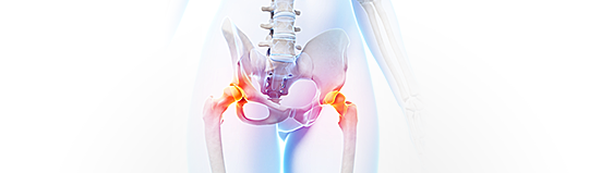 Osteologie